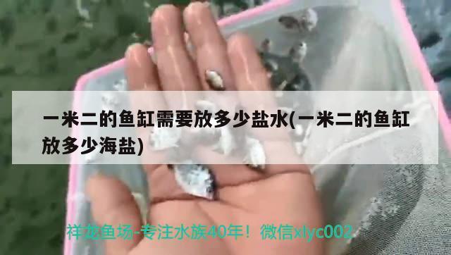 一米二的魚缸需要放多少鹽水(一米二的魚缸放多少海鹽)