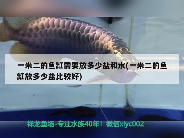 一米二的魚缸需要放多少鹽和水(一米二的魚缸放多少鹽比較好)