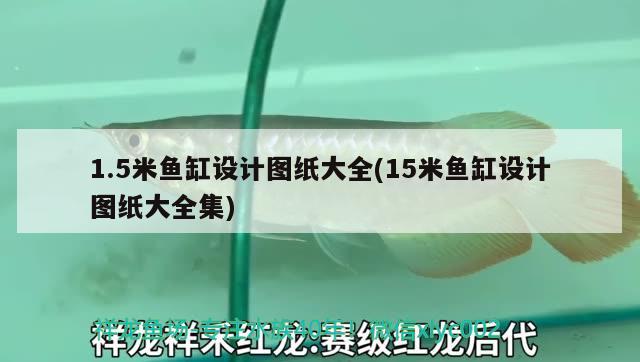 1.5米魚缸設(shè)計圖紙大全(15米魚缸設(shè)計圖紙大全集) 鐵甲武士