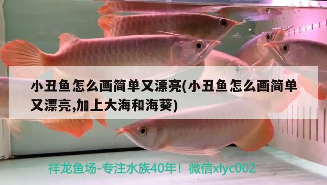 小丑魚怎么畫簡單又漂亮(小丑魚怎么畫簡單又漂亮,加上大海和?？? 海水魚