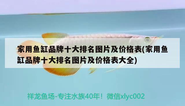 家用魚缸品牌十大排名圖片及價格表(家用魚缸品牌十大排名圖片及價格表大全) 黑白雙星魚