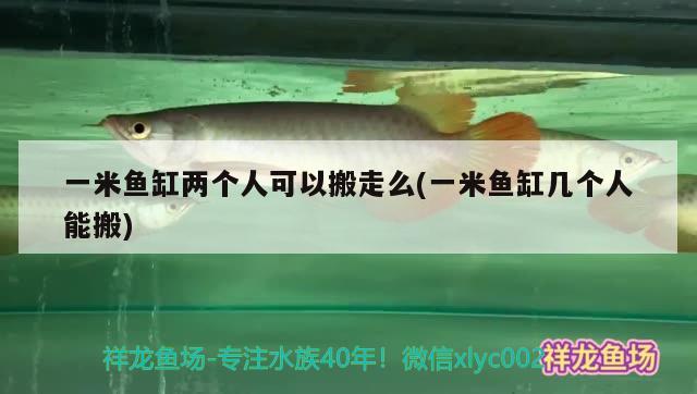 一米魚缸兩個人可以搬走么(一米魚缸幾個人能搬)