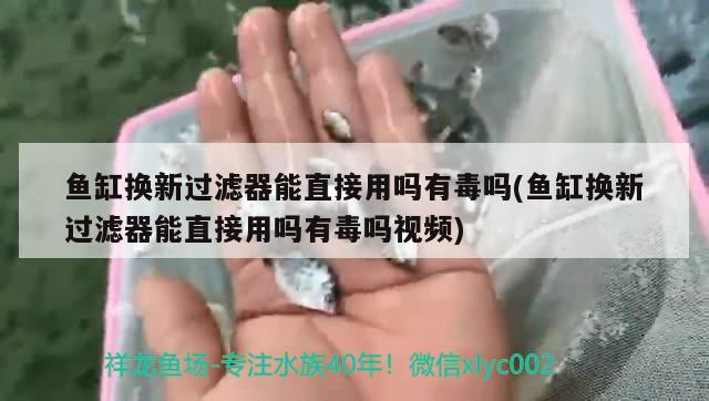 魚缸換新過濾器能直接用嗎有毒嗎(魚缸換新過濾器能直接用嗎有毒嗎視頻)