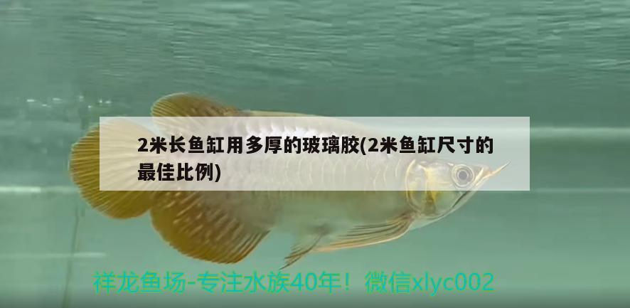 2米長魚缸用多厚的玻璃膠(2米魚缸尺寸的最佳比例) 魚缸等水族設(shè)備