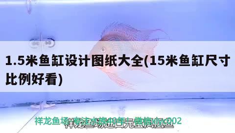 1.5米魚缸設(shè)計圖紙大全(15米魚缸尺寸比例好看)