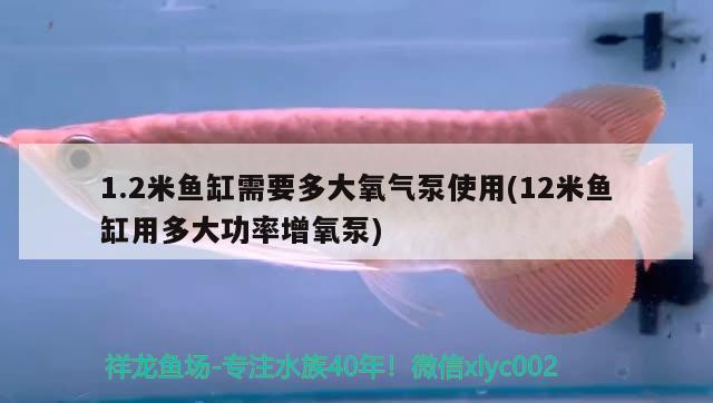 1.2米魚缸需要多大氧氣泵使用(12米魚缸用多大功率增氧泵)