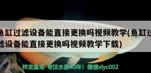 魚缸過濾設(shè)備能直接更換嗎視頻教學(xué)(魚缸過濾設(shè)備能直接更換嗎視頻教學(xué)下載) 過濾設(shè)備