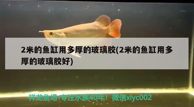 2米的魚缸用多厚的玻璃膠(2米的魚缸用多厚的玻璃膠好)