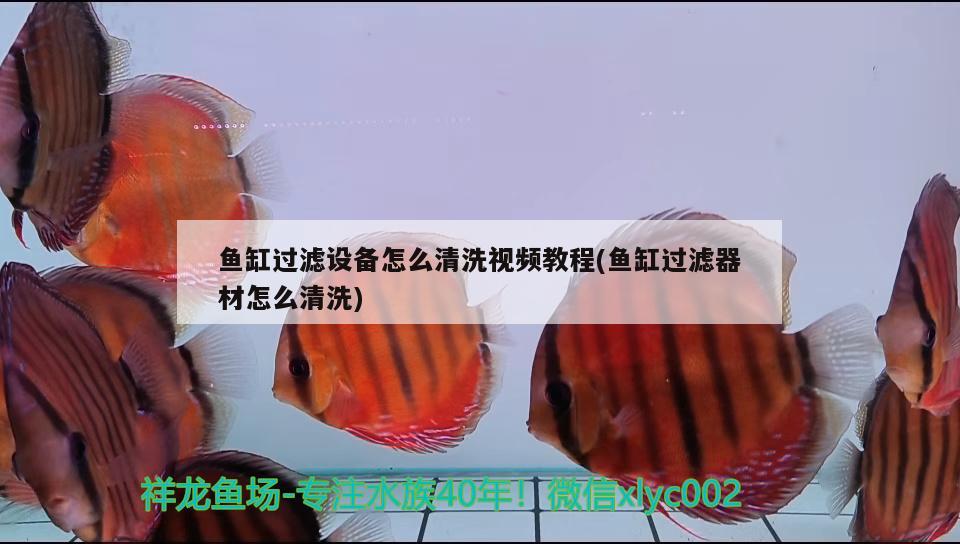 魚缸過濾設備怎么清洗視頻教程(魚缸過濾器材怎么清洗) 過濾設備