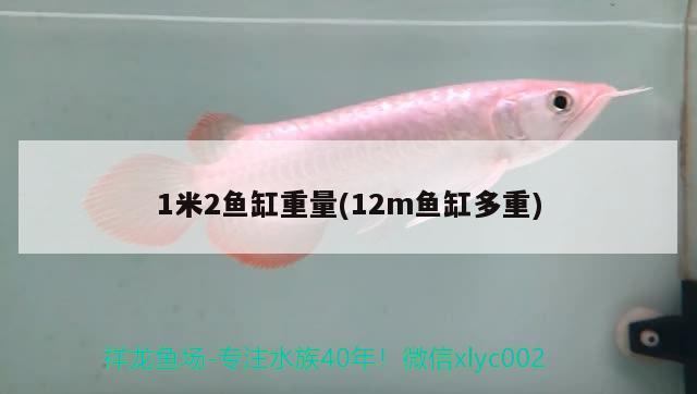 1米2魚缸重量(12m魚缸多重) 祥龍龍魚專用水族燈