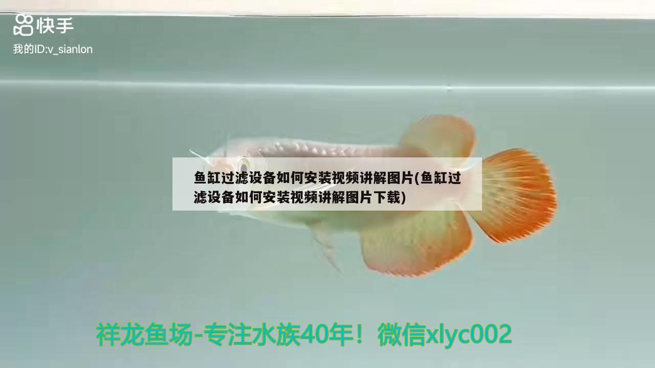 魚缸過(guò)濾設(shè)備如何安裝視頻講解圖片(魚缸過(guò)濾設(shè)備如何安裝視頻講解圖片下載) 過(guò)濾設(shè)備 第3張