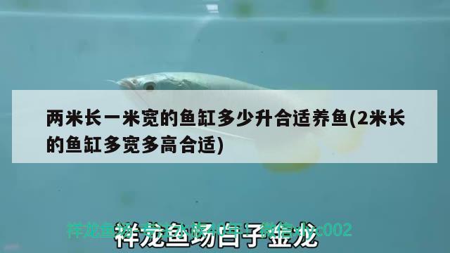 兩米長一米寬的魚缸多少升合適養(yǎng)魚(2米長的魚缸多寬多高合適)