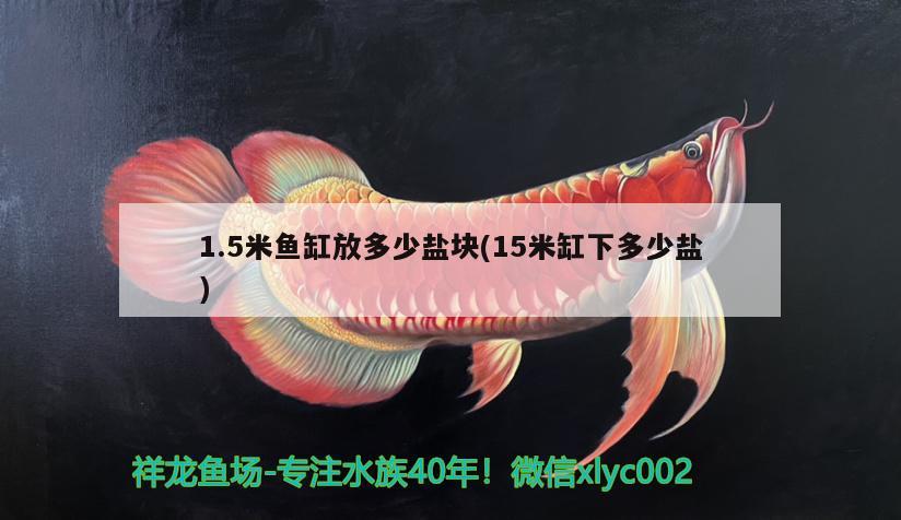 1.5米魚缸放多少鹽塊(15米缸下多少鹽) 虎魚百科