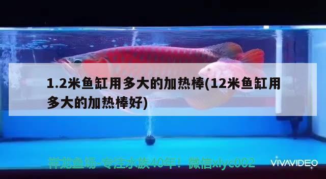 1.2米魚缸用多大的加熱棒(12米魚缸用多大的加熱棒好)