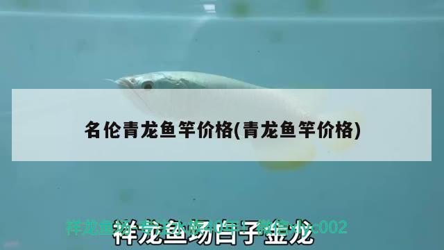 名倫青龍魚竿價(jià)格(青龍魚竿價(jià)格) 垂釣樂園