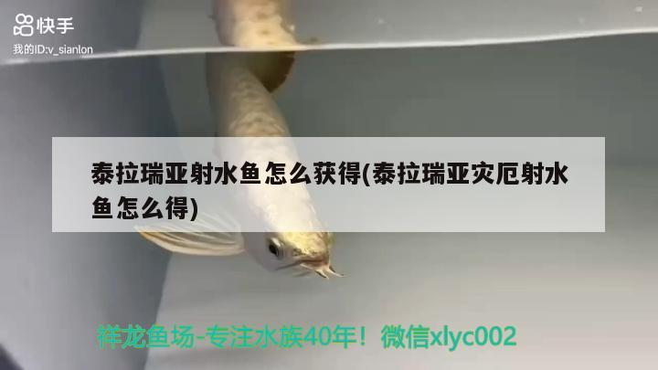 泰拉瑞亞射水魚怎么獲得(泰拉瑞亞災厄射水魚怎么得) 觀賞魚