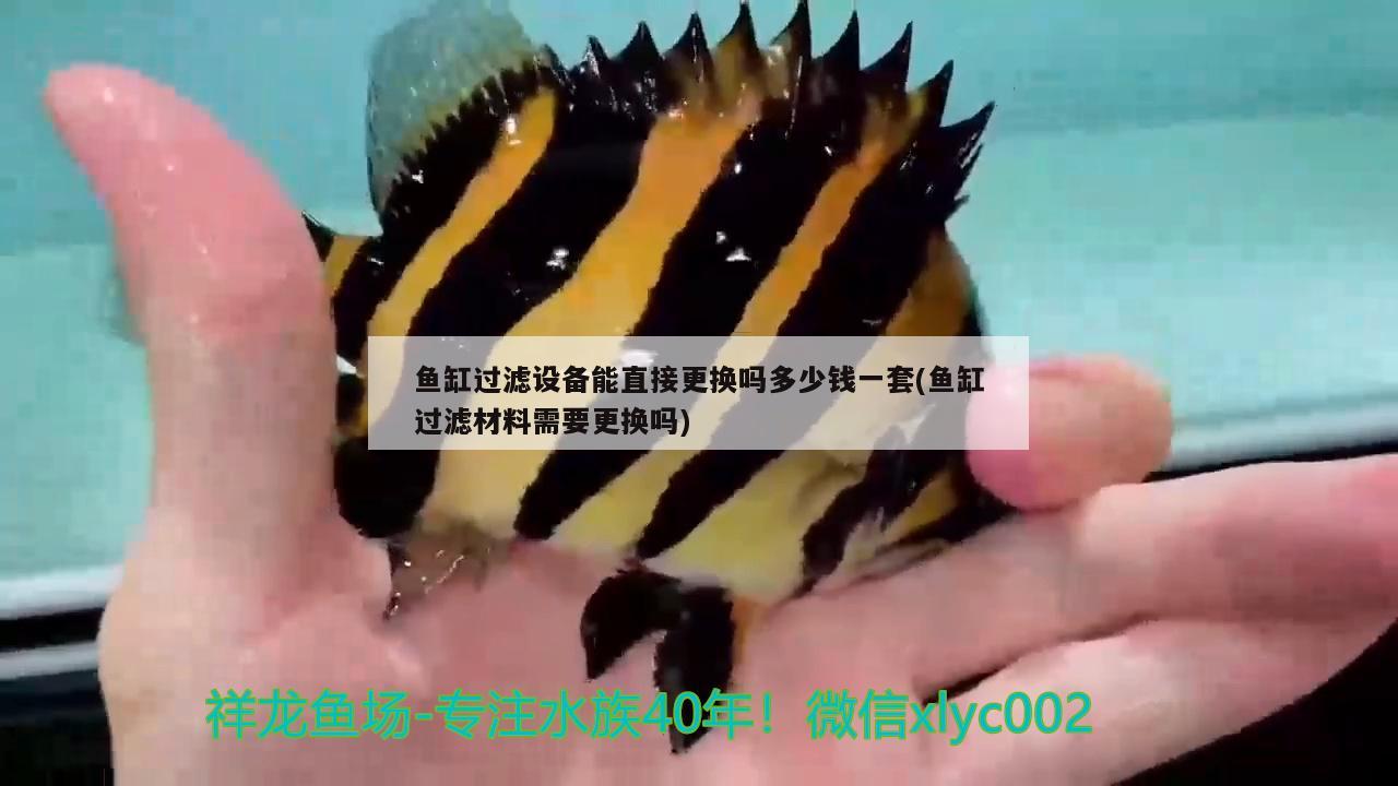 魚缸過濾設備能直接更換嗎多少錢一套(魚缸過濾材料需要更換嗎) 過濾設備