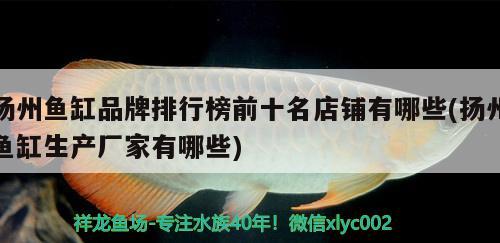 揚州魚缸品牌排行榜前十名店鋪有哪些(揚州魚缸生產廠家有哪些)