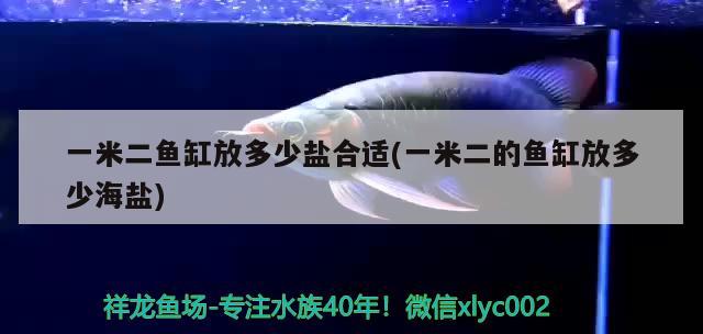 一米二魚缸放多少鹽合適(一米二的魚缸放多少海鹽)