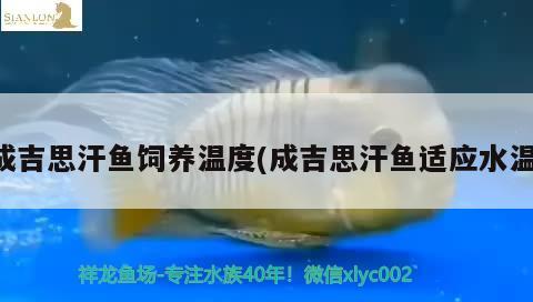 成吉思汗魚飼養(yǎng)溫度(成吉思汗魚適應(yīng)水溫)