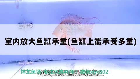 室內(nèi)放大魚缸承重(魚缸上能承受多重)