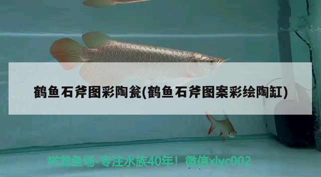 鶴魚(yú)石斧圖彩陶甕(鶴魚(yú)石斧圖案彩繪陶缸)