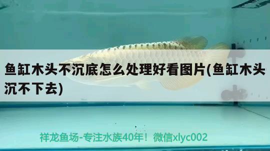 魚缸木頭不沉底怎么處理好看圖片(魚缸木頭沉不下去)