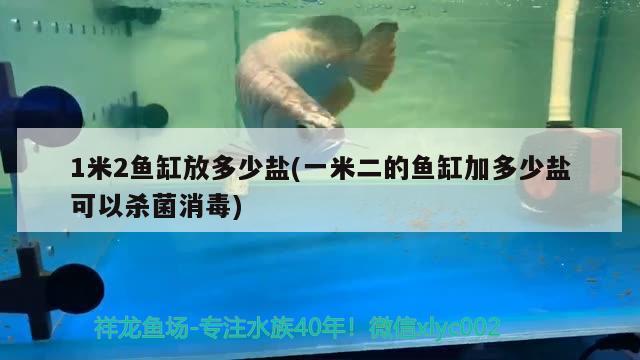 1米2魚缸放多少鹽(一米二的魚缸加多少鹽可以殺菌消毒) 觀賞魚企業(yè)目錄