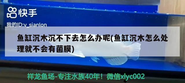 魚缸沉木沉不下去怎么辦呢(魚缸沉木怎么處理就不會有菌膜) 養(yǎng)魚的好處