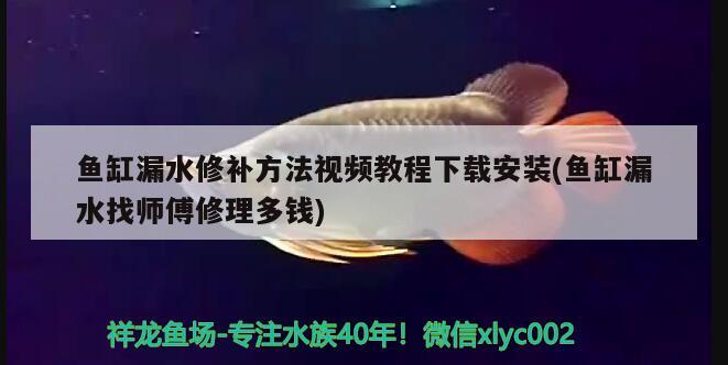 魚缸漏水修補(bǔ)方法視頻教程下載安裝(魚缸漏水找?guī)煾敌蘩矶噱X)