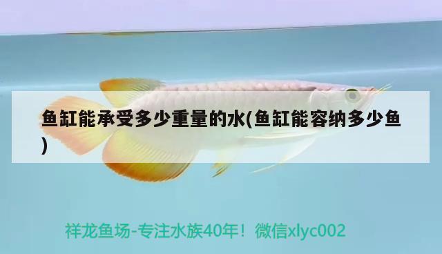 魚缸能承受多少重量的水(魚缸能容納多少魚) 白子關(guān)刀魚苗