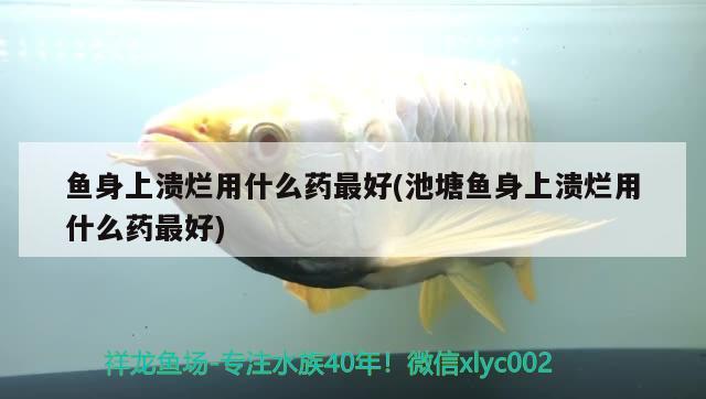 魚身上潰爛用什么藥最好(池塘魚身上潰爛用什么藥最好)