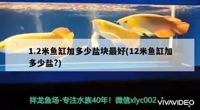 1.2米魚缸加多少鹽塊最好(12米魚缸加多少鹽?)