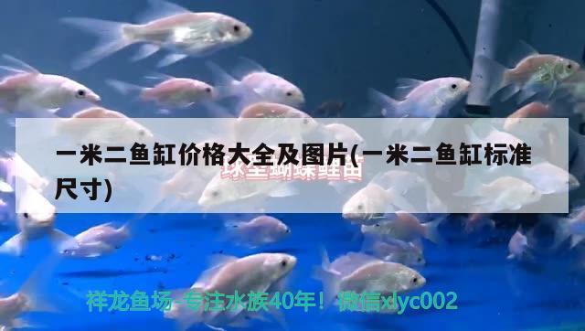 一米二魚缸價(jià)格大全及圖片(一米二魚缸標(biāo)準(zhǔn)尺寸)