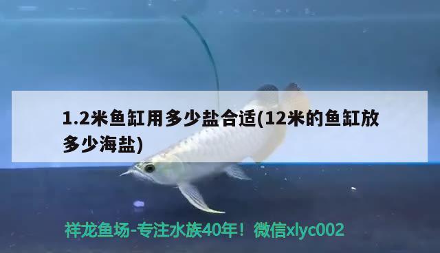 1.2米魚缸用多少鹽合適(12米的魚缸放多少海鹽) 2024第28屆中國(guó)國(guó)際寵物水族展覽會(huì)CIPS（長(zhǎng)城寵物展2024 CIPS）