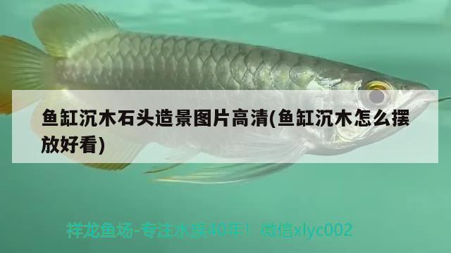 魚缸沉木石頭造景圖片高清(魚缸沉木怎么擺放好看)