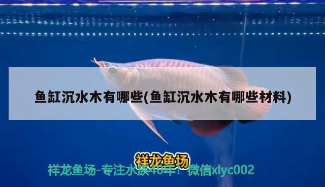 魚(yú)缸沉水木有哪些(魚(yú)缸沉水木有哪些材料) 古典過(guò)背金龍魚(yú)