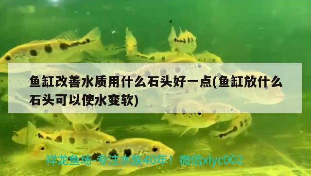 魚缸改善水質(zhì)用什么石頭好一點(diǎn)(魚缸放什么石頭可以使水變軟)