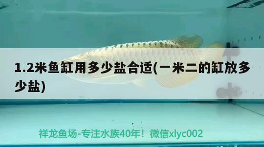 1.2米魚缸用多少鹽合適(一米二的缸放多少鹽) 水族品牌