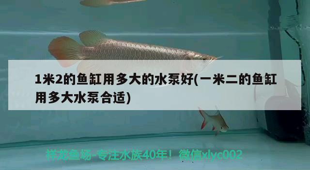 1米2的魚缸用多大的水泵好(一米二的魚缸用多大水泵合適) 龍鳳鯉魚