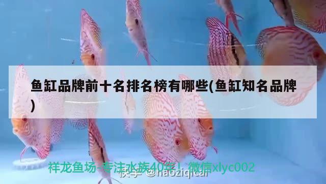 魚缸品牌前十名排名榜有哪些(魚缸知名品牌) 白條過背金龍魚 第2張