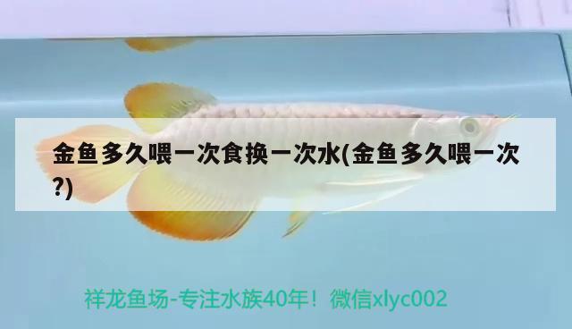 金魚多久喂一次食換一次水(金魚多久喂一次?) 觀賞魚