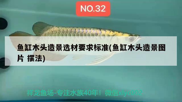 魚缸木頭造景選材要求標(biāo)準(zhǔn)(魚缸木頭造景圖片擺法)