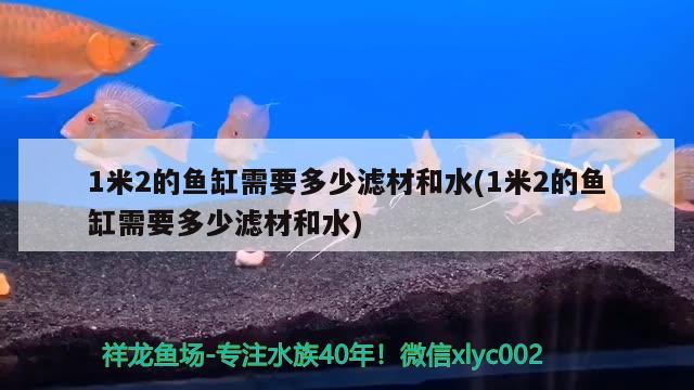 1米2的魚缸需要多少濾材和水(1米2的魚缸需要多少濾材和水)