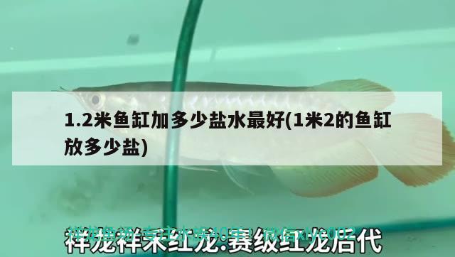 1.2米魚(yú)缸加多少鹽水最好(1米2的魚(yú)缸放多少鹽)