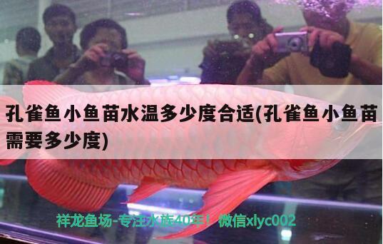 孔雀魚小魚苗水溫多少度合適(孔雀魚小魚苗需要多少度) 觀賞魚