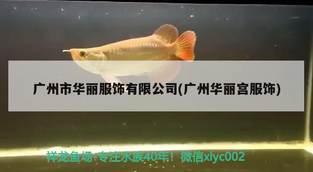 廣州市華麗服飾有限公司(廣州華麗宮服飾) 觀賞魚