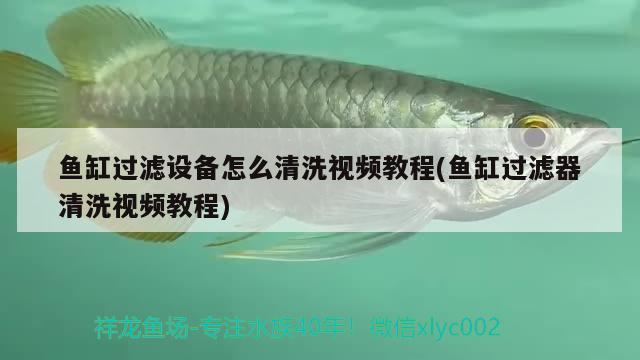 魚缸過(guò)濾設(shè)備怎么清洗視頻教程(魚缸過(guò)濾器清洗視頻教程) 過(guò)濾設(shè)備