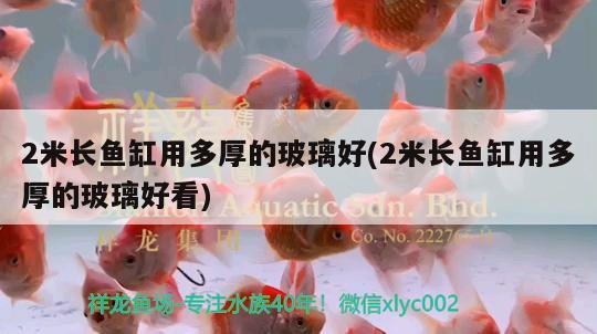 2米長魚缸用多厚的玻璃好(2米長魚缸用多厚的玻璃好看)