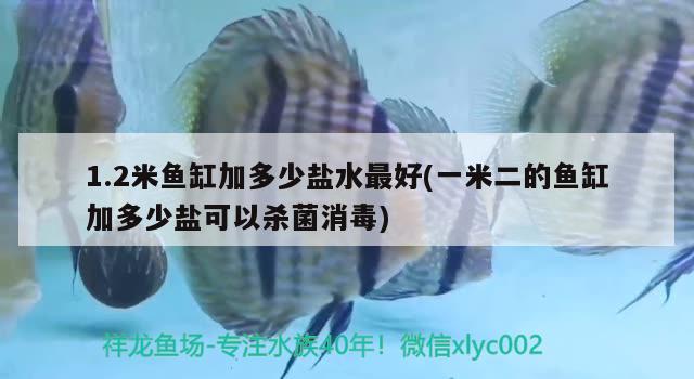 1.2米魚(yú)缸加多少鹽水最好(一米二的魚(yú)缸加多少鹽可以殺菌消毒)